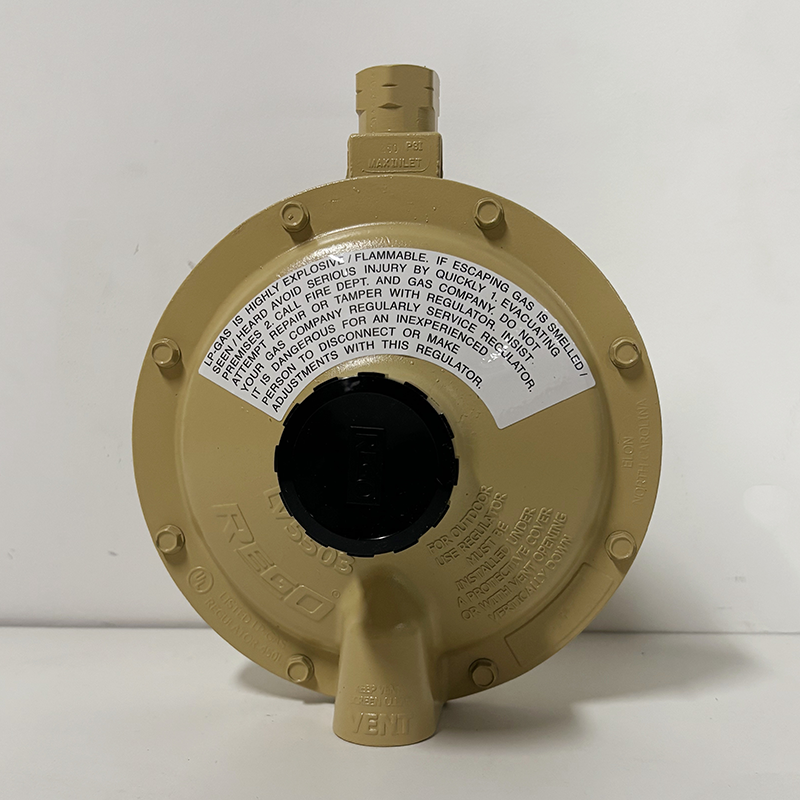 REGO燃气中低压调压器LV5503 LV5503B4